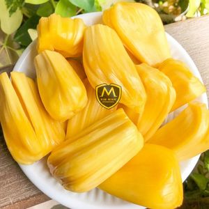 Pulpe de Jackfruit Fraîche Jaune Sans Graines Demi-Quartiers Naturels en Vrac pour la Transformation Alimentaire - Product Image 4