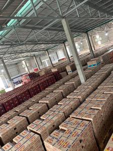 เบียร์กระป๋องและเบียร์ดราฟท์จากข้าวสาลีขนาด330มล. เกรดพรีเมี่ยมของอูฐ - Product Image 6