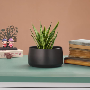 Modern Matte <b>Black</b> Metal Planter Pot for Indoor Plants Decorative Flower Pot for Home Office <b>Table</b> Decor - Product Image 6