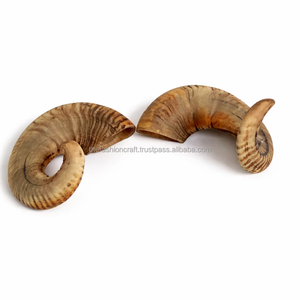 Cuerno de Carnero Natural Pulido, Cuerno de Búfalo para Beber, Decoración Rústica Moderna para el Hogar, Regalo Premium, Ecológico, Apto para Lavavajillas - Product Image 3
