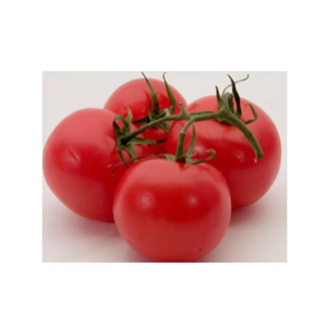 Fresh Red Tomato Firm and Juicy 100% Natural Export Quality Vegetable for Wholesale Distribution and Food Processing - Product Image 2