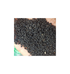 Semillas de Nigella de Primera Calidad, Sudáfrica, Stock Fresco, Suministro al por Mayor para la Industria de Procesamiento de Especias Alimentarias, EXPORTACIÓN GLOBAL - Product Image 4