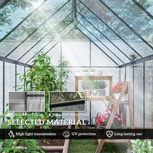 Serra da Giardino in Alluminio 11x6 piedi con Policarbonato, Porta a Battente e Due Ventilazioni Regolabili sul Tetto, Nera - Product Image 5