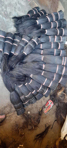 Cepillo de Pelo Natural de Vaca Pulido, Estilo Animal, para el Cuidado del Cabello, en Venta - Product Image 6