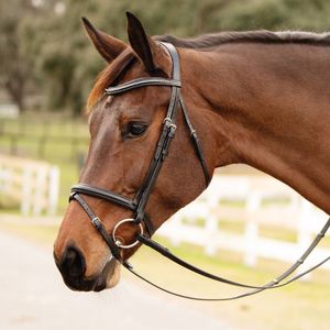 Premium quality English saddle style horse bridle and <b>halter</b> made from genuine leather for outdoor equestrian use - Product Image 1