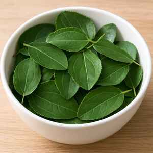 คอลเลคชั่นใหม่ สมุนไพรอินเดียแท้ 100% ผงใบซิดร์ (ซิซิฟัส) แห้งธรรมชาติ สำหรับใช้เพื่อสุขภาพ 25 กก. ราคาประหยัด เฮอร์โบจิต - Product Image 6