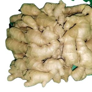 Produit agricole gingembre à prix compétitif, gingembre vietnamien de qualité supérieure par vacances - Product Image 1