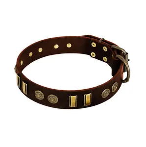 Collare per cani Rottweiler in vera pelle marrone con vecchie decorazioni simili al bronzo