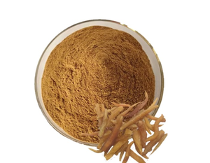Best Selling Crinum Latifolium Powder Natural Herbal <b>Raw</b> <b>Material</b> Fine Powder Bulk <b>Packaging</b> Export Quality - Product Image 1