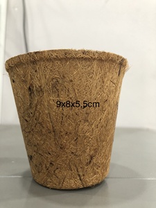Pot en fibre de coco du Vietnam conçu pour la pépinière, le jardinage, la plantation et les applications décoratives - Product Image 5
