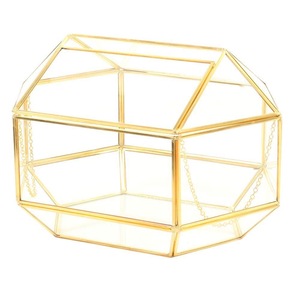 Terrario Personalizado de Metal y Vidrio, Macetero Moderno de Vidrio para Plantas de Interior, Suculentas, Plantas Aéreas y Terrario DIY para Decoración de Eventos - Product Image 2