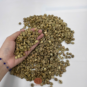 Café Vert Robusta le Plus Vendu – Vente Directe Usine, Emballage en Vrac pour Acheteurs B2B, OEM/ODM Disponible, Service de Marque Privée - Product Image 1