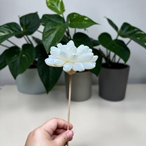 Flores de Sola Hechas a Mano y Sostenibles, Tipo Dalia de Nieve, Fibra Vegetal de Sesbania, 8.5 CM, Phra Nakhon Si Ayuttaya - Product Image 5
