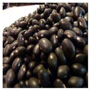 ผู้จัดจำหน่ายขายส่งถั่วแดงคุณภาพดีที่สุด ราคาถูก ขายส่งราคาถูกที่สุด - Product Image 3