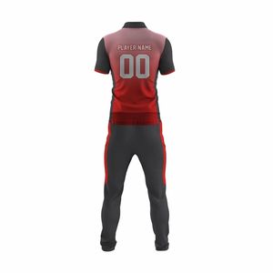Custom Sublimated Cricket Uniform Set Blue Red Team Name Player Number Moisture Wicking <b>Athletic</b> Fit Unisex Adults All Seasons - Product Image 6