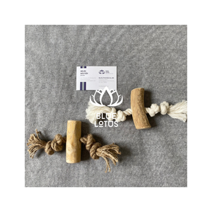 [MEILLEURES VENTES] |   Bâton à mâcher pour chien en bois de café, durable, pour le nettoyage des dents, jouet interactif sûr pour animaux de compagnie, anti-stress [HAUTE QUALITÉ] |   Café W - Product Image 1