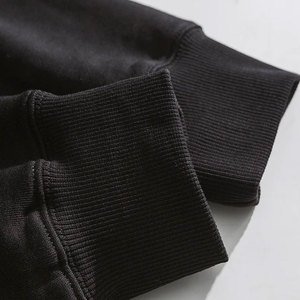 Sweat à capuche décontracté pour homme en coton 100% pour l'hiver, style streetwear, avec logo sur le devant, coupe classique, tissu 350g - Product Image 5