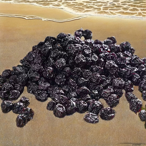 Bayas de Junípero Secas Naturales Orgánicas de Primera Calidad 2026, Nueva Temporada, Suministro al por Mayor para el Mercado Internacional - Product Image 2