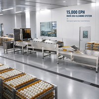 Machine automatique de nettoyage d'œufs de canard 15000 EPH, système de lavage d'œufs en acier inoxydable, ligne de tri à économie d'eau