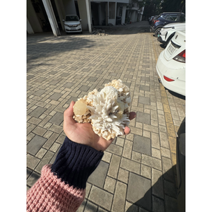 Premium Scolecite with Okenite and Mordenite Yellow Stilbite <b>Crystal</b> <b>Cluster</b> for Interior Decoration and Bulk Supply - Product Image 4