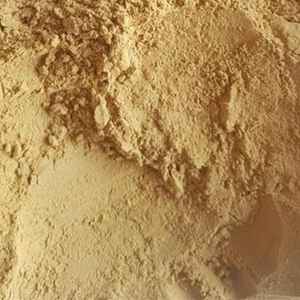 Fine Ground <b>Ginger</b> Powder Made from <b>Fresh</b> Vietnamese <b>Ginger</b> for Beverage and Food Applications - Product Image 2