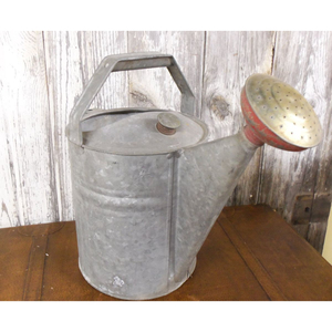 Arrosoir en métal galvanisé de style ferme moderne pour jardinage intérieur et extérieur, pot décoratif en acier avec bec rouge amovible - Product Image 1