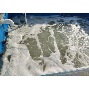 Solución Acuática Aquashakti ASWS-STP 100 KLD (100 M/día) Sistema de Tratamiento de Aguas Residuales para Desechos Alimenticios, Planta de Tratamiento de Aguas Residuales Empaquetada, Sistema STP de 1 Año - Product Image 6
