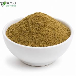 Proveedor de Ingredientes Nutracéuticos Premium, Extracto de Fruta de Emblica Officinalis en Polvo, Ingrediente Natural de Amla para Antioxidantes - Product Image 2