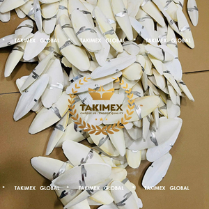 Hueso de Sepia de Alta Calidad para Aves, 100% Natural, Proveniente de Vietnam, la Mejor Fuente de Suplemento de Calcio - Product Image 1