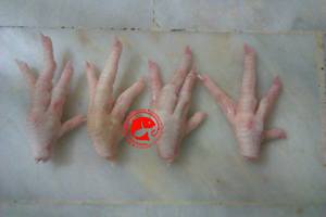 ตีนไก่แช่แข็งทั้งตัว ทำความสะอาดแล้ว คุณภาพพรีเมียม โครงสร้างแข็งแรง พื้นผิวเรียบเนียน เนื้อไก่ธรรมชาติ รสชาติสม่ำเสมอ ขนาดมาตรฐาน - Product Image 3