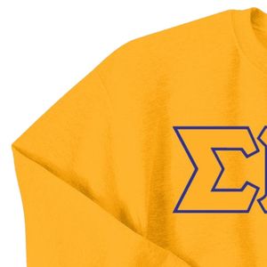 Sudadera con letras griegas Sigma Gamma Rho, jersey de cuello redondo con 3 letras, forro polar personalizado para hermandades, top informal unisex de moda urbana - Product Image 3