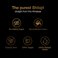 Résine de Shilajit Noir de l'Himalaya la plus vendue, 100% pure, pâte/onguent de Shilajit, complément alimentaire pour adultes