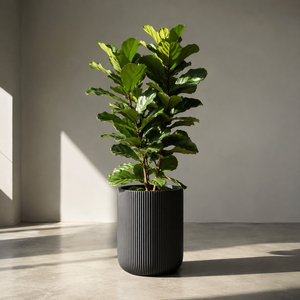 Juego de macetas decorativas redondas y altas con diseño acanalado para balcones, terrazas, jardines y exteriores, 2 tamaños, 2 piezas grandes para plantas - Product Image 3