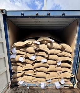 เมล็ดกาแฟโรบัสต้าดิบ คุณภาพพรีเมียม สำหรับผู้ค้าส่งและผู้คั่วเมล็ดกาแฟ - Product Image 4