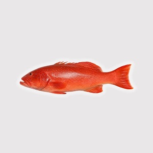 Produits de la mer surgelés IQF de qualité supérieure, très demandés, en gros : Grouper rouge et saumon à faible teneur en matières grasses, naturels, propres et délicieux - Product Image 3