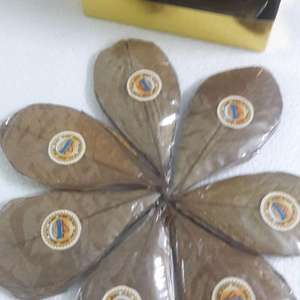 Hojas de Catappa (Almendro de la India) de 11 cm a 18 cm (4 a 7 pulgadas), empaquetadas en paquetes de 12 unidades. Accesorio para Mascotas de Acuario de Primera Calidad - Product Image 1