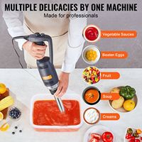 Mixeur plongeant commercial 350W avec lame en acier inoxydable de 10 pouces, mixeur à main robuste, contrôle de vitesse variable à 10 niveaux