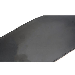 Ceinture de musculation durable avec soutien lombaire rembourré et chaîne en acier pour tractions, dips et squats avec poids - Product Image 4