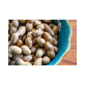Cacahuetes a Granel de Calidad de Exportación |   Nueces de Cacahuete Crudas Naturales 100% Puras, Marca EcoRev, Origen Uttar Pradesh, para Procesamiento de Alimentos y Aceite - Product Image 2