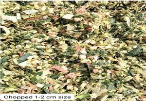 Aliments pour animaux d'ensilage de maïs de haute qualité pour les porcs bovins chevaux du Pakistan utilisation d'exportation - Product Image 2