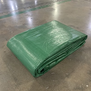 Green Heavy Duty PE Tarpaulin Shed High Durability Large Capacity Custom Colors Custom Sizes Waterproof <b>Tarp</b> Roll - Product Image 1