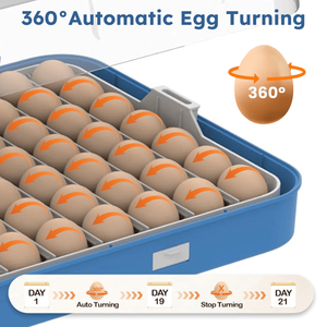 Incubatrice Digitale per Pollame a 70 Gradi con Rotazione Automatica e Controllo dell'Umidità, Materiale PC di Alta Qualità per Uova di Gallina, Anatra e Quaglia - Product Image 6
