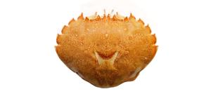 Vietnamese Dried <b>Crab</b> <b>Shell</b> for Fertilizer and Chitin Extraction with Best Price - Product Image 5