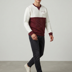 Sudadera de Cuello Redondo para Hombre, Corte Holgado, Logotipo Bordado, Color Sólido, Informal, Felpa, 100% Algodón, Transpirable, Invierno - Product Image 4