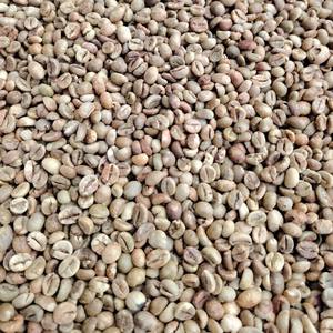 High Quality 95 To 99% Purity Robusta Size 16 Vietnam Origin Green Coffee <b>Beans</b> A 60kg A Plus Bulk <b>Bags</b> Long Shelf Life - Product Image 3