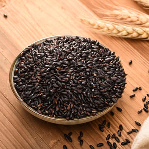 Arroz Negro Orgánico Premium al por Mayor |   Sin OMG, Alto en Fibra, Rico en Antioxidantes |   Ideal para Restaurantes y Minoristas - Product Image 1