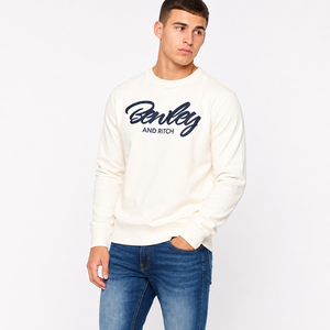 Printed <b>Custom</b> Men's Sweatshirt Personalized Long Sleeve Streetwear OEM Casual Wear <b>Custom</b> Design Apparel Top Clothing Style - Product Image 4