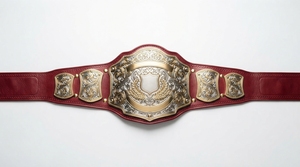 Custom Sports Championship <b>Belt</b> Personalized Metal Award Trophy <b>Belt</b> for <b>Wrestling</b> Boxing MMA Events - Product Image 3