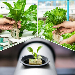 Blocs de laine de roche hydroponique de jardinage de 1,57 pouce pour la culture hydroponique agricole, cubes de semis hydroponiques 40*40*40 mm - Product Image 5