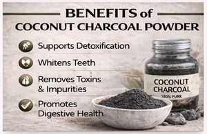 WARRLY Charbon de Coco Activé de Qualité Alimentaire 99% Premium, Extrait Herbal en Poudre, Conditionné en Bouteille et en Fût - Product Image 3